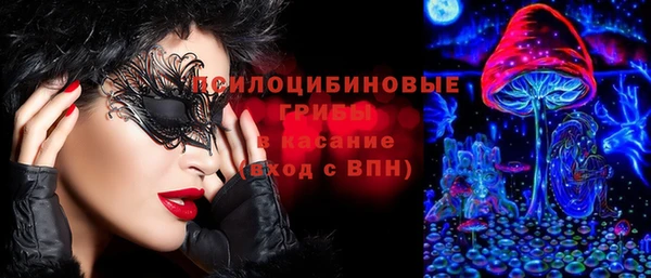 меф Алексин